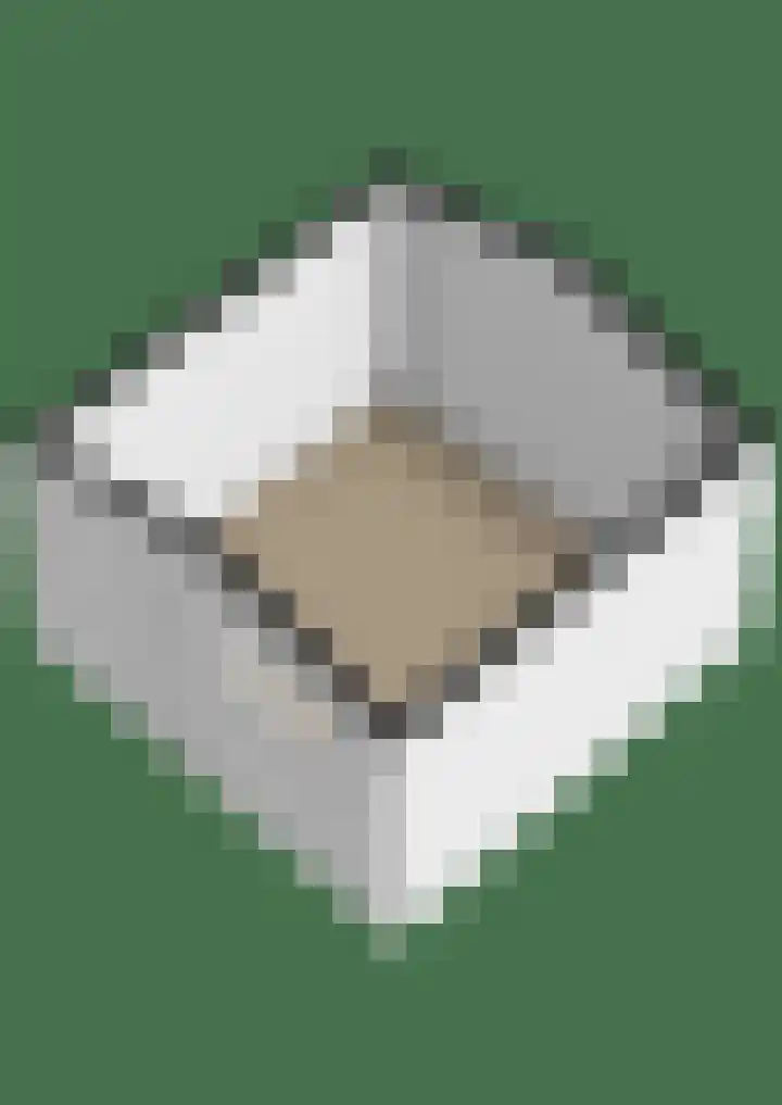 Ericaplein 30 Grubbenvorst thumbnail 47