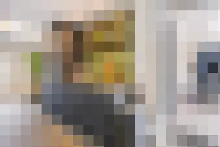 Ericaplein 64 Grubbenvorst thumbnail 10