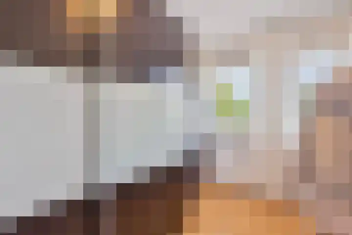 Ericaplein 64 Grubbenvorst thumbnail 20
