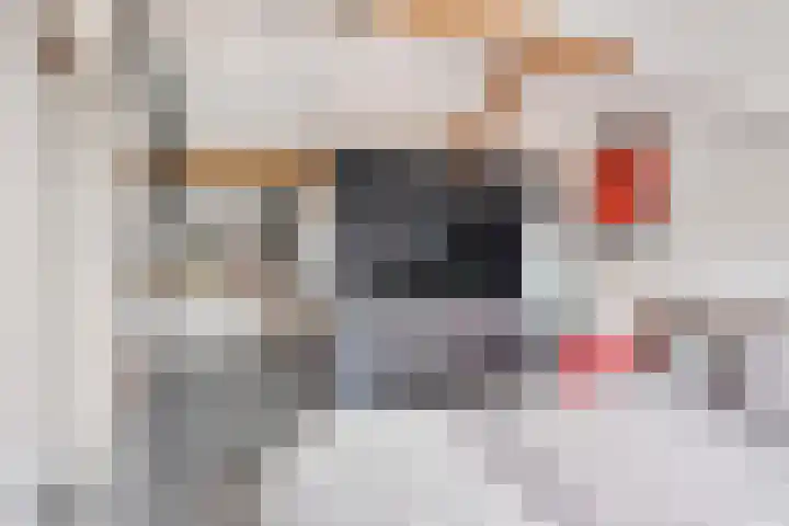 Ericaplein 64 Grubbenvorst thumbnail 25