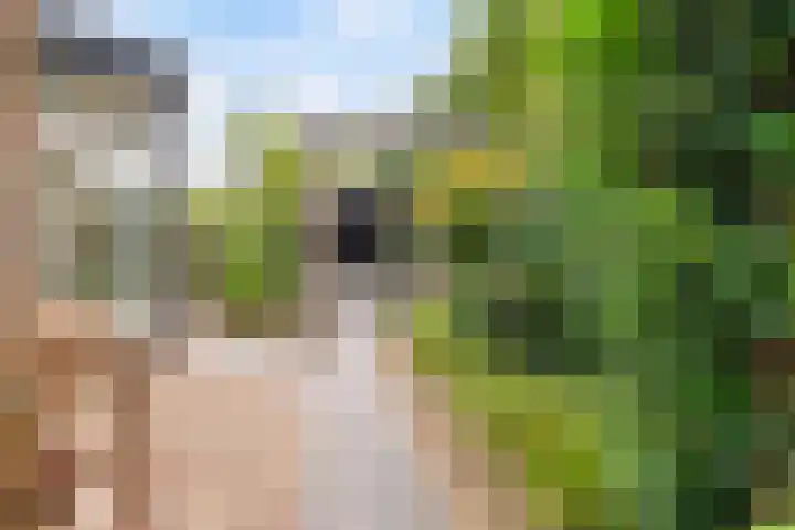 Ericaplein 64 Grubbenvorst thumbnail 27