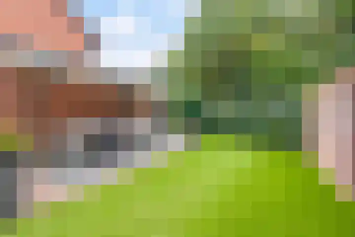 Ericaplein 64 Grubbenvorst thumbnail 29