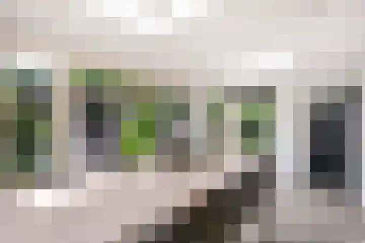 Ericaplein 64 Grubbenvorst thumbnail 7