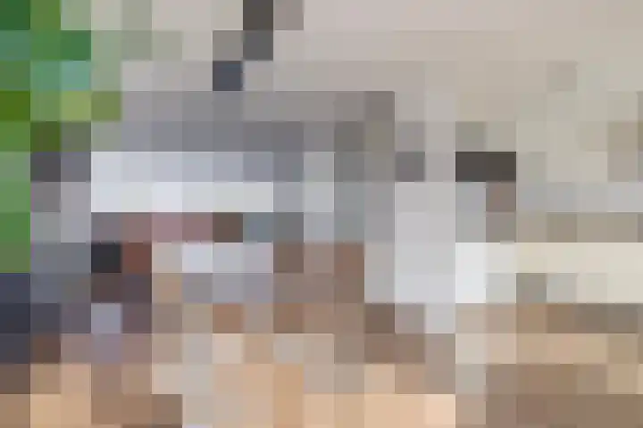 Ericaplein 70 Grubbenvorst thumbnail 10