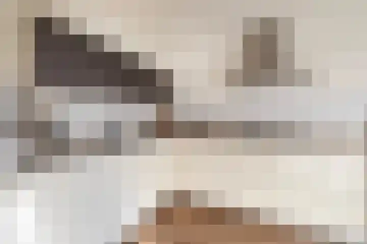 Ericaplein 70 Grubbenvorst thumbnail 11