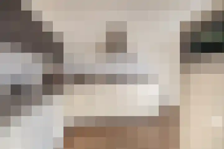 Ericaplein 70 Grubbenvorst thumbnail 12