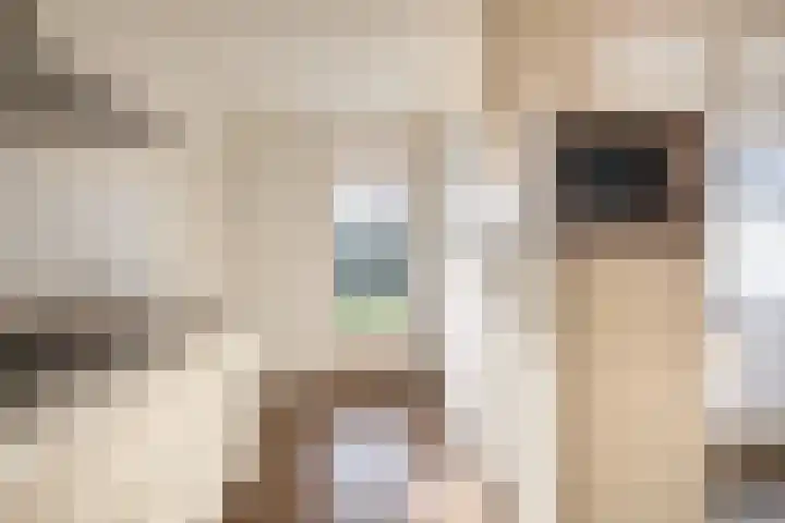 Ericaplein 70 Grubbenvorst thumbnail 13