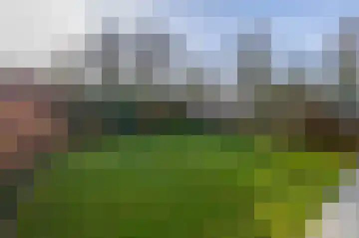 Ericaplein 70 Grubbenvorst thumbnail 19