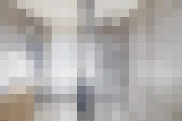 Ericaplein 70 Grubbenvorst thumbnail 25