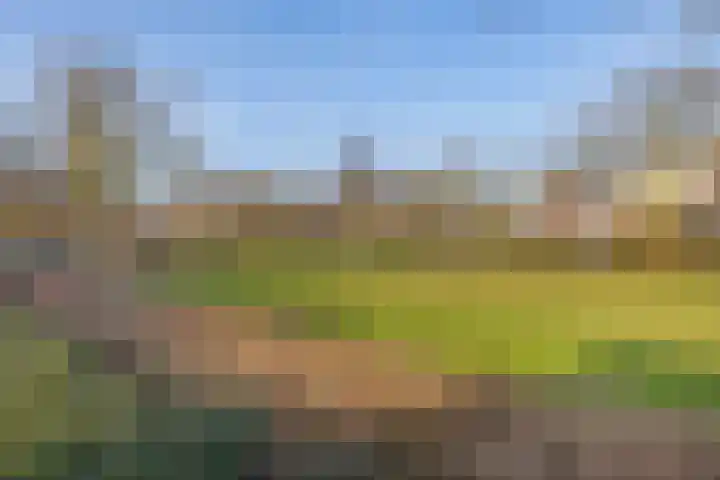 Ericaplein 70 Grubbenvorst thumbnail 34