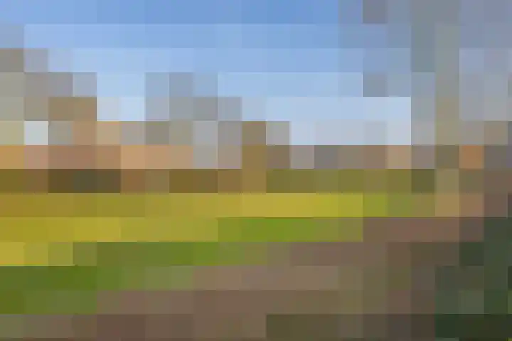 Ericaplein 70 Grubbenvorst thumbnail 35