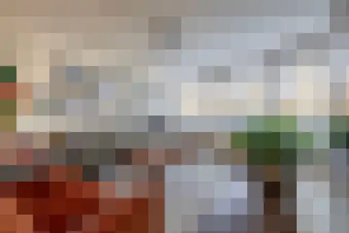 Ericaplein 70 Grubbenvorst thumbnail 5