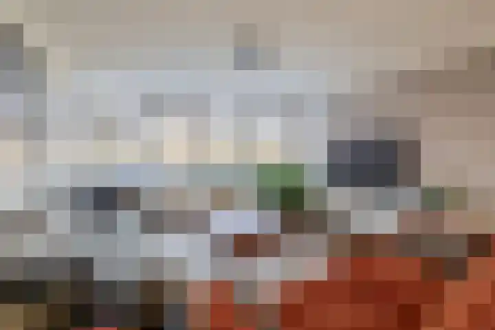 Ericaplein 70 Grubbenvorst thumbnail 6