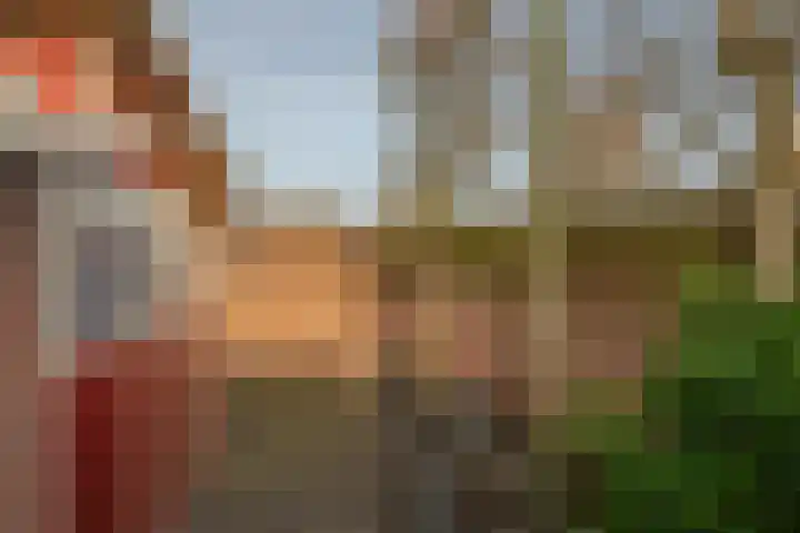 Ericaplein 74 Grubbenvorst thumbnail 38
