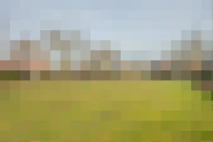 Ericaplein 74 Grubbenvorst thumbnail 40
