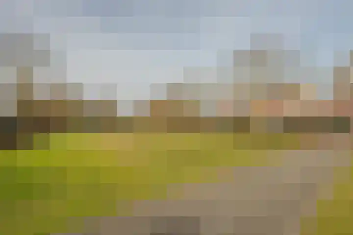 Ericaplein 74 Grubbenvorst thumbnail 41
