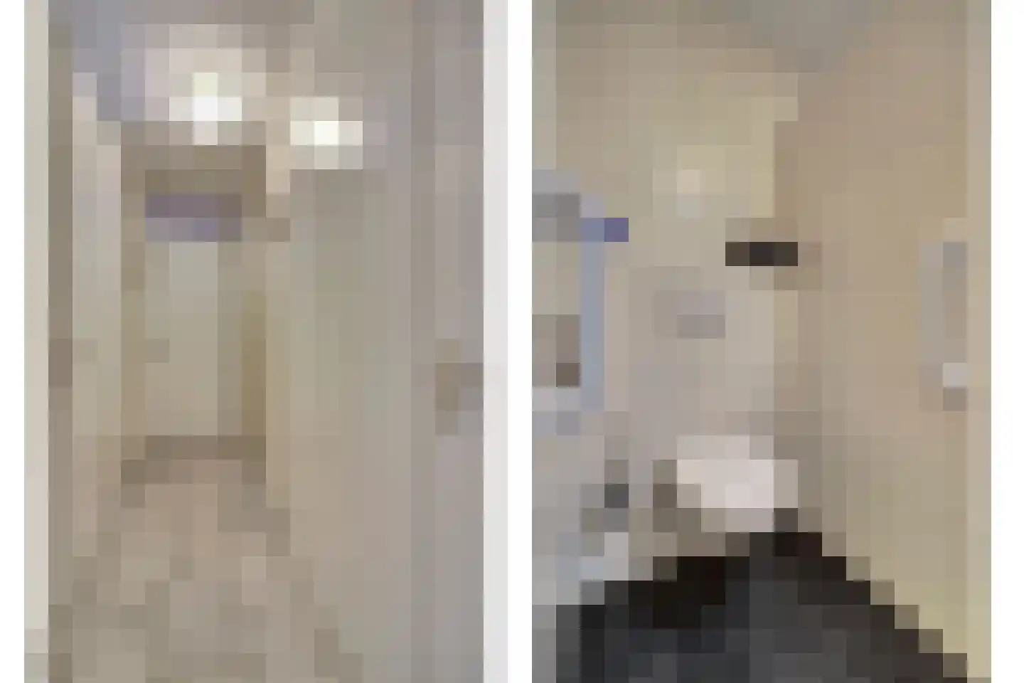 Ericaplein 79 Grubbenvorst thumbnail 15