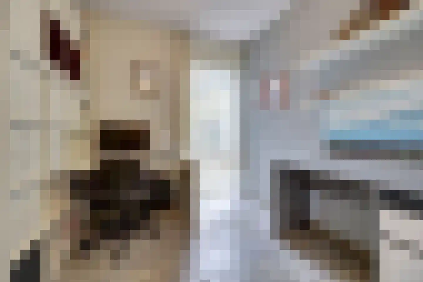 Ericaplein 79 Grubbenvorst thumbnail 18
