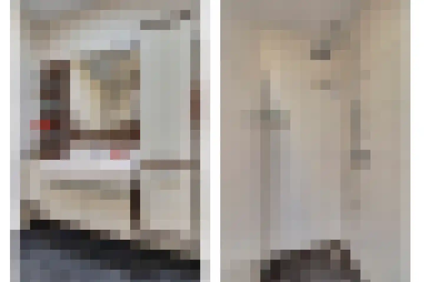Ericaplein 79 Grubbenvorst thumbnail 19