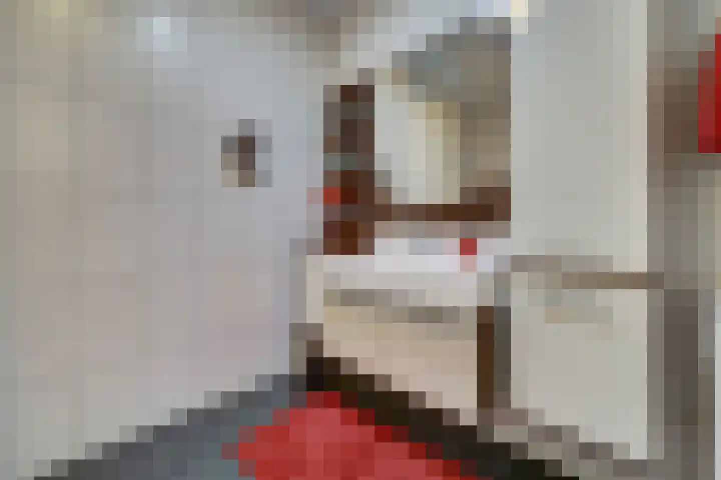Ericaplein 79 Grubbenvorst thumbnail 20