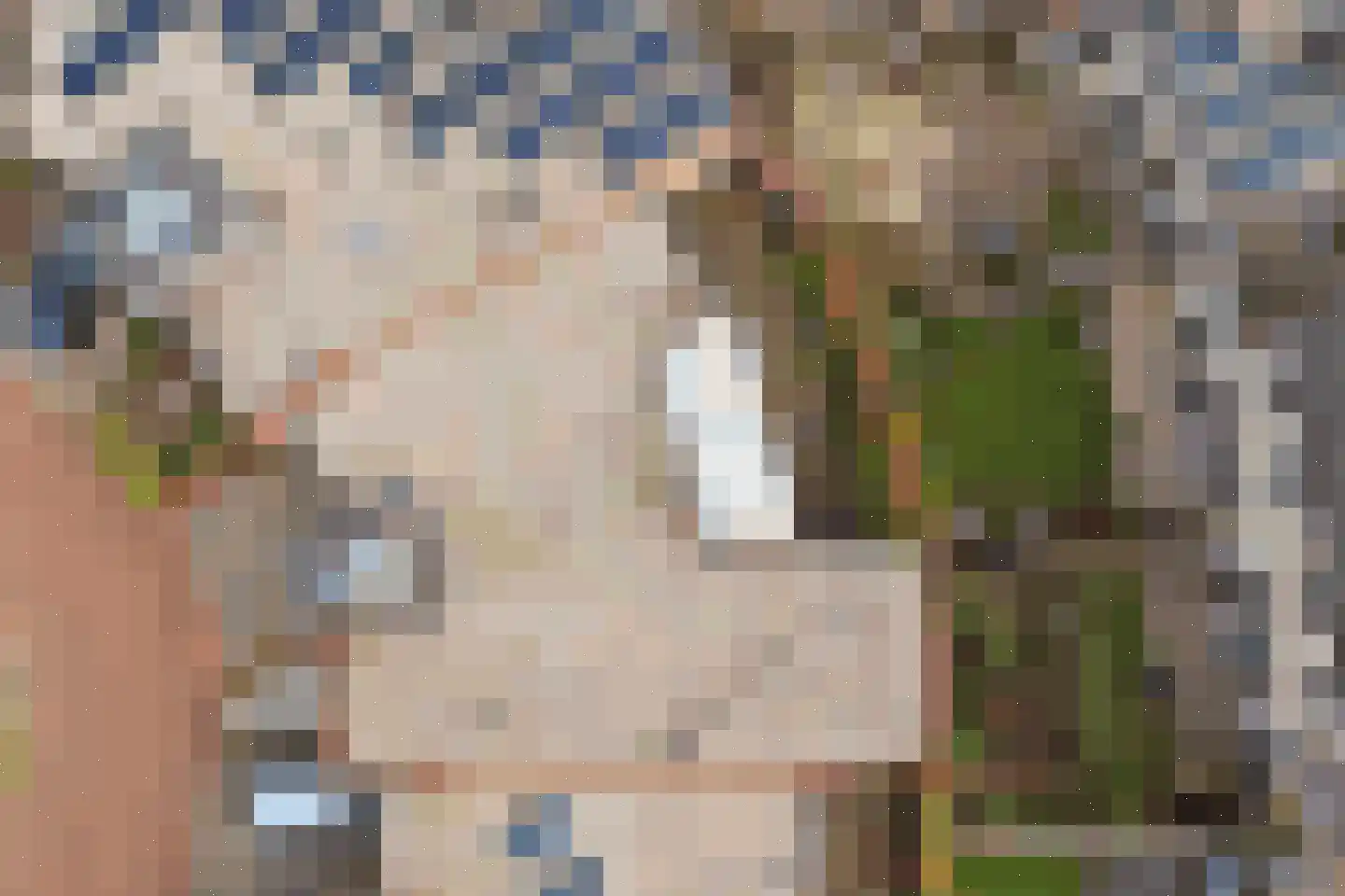 Ericaplein 79 Grubbenvorst thumbnail 24