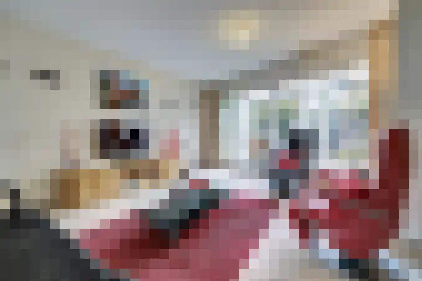 Ericaplein 79 Grubbenvorst thumbnail 7