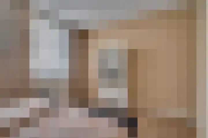 Ericaplein 9 Grubbenvorst thumbnail 24