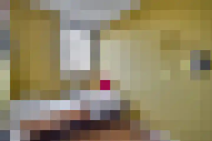 Ericaplein 9 Grubbenvorst thumbnail 25