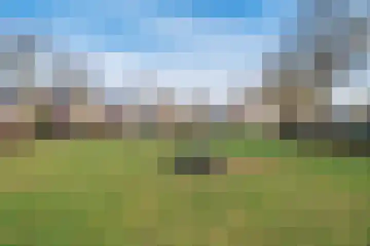 Ericaplein 9 Grubbenvorst thumbnail 51