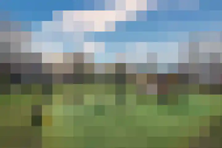 Ericaplein 9 Grubbenvorst thumbnail 52