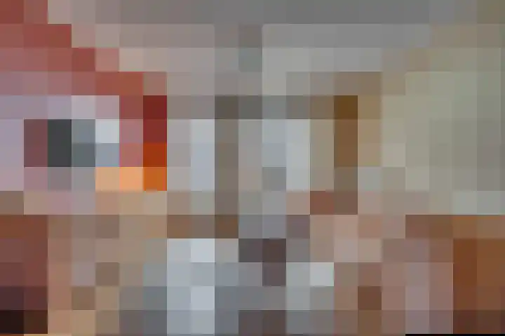 Ericaplein 9 Grubbenvorst thumbnail 7