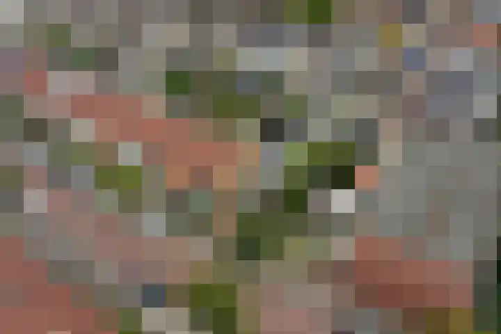 Ericastraat 1 Monster thumbnail 21