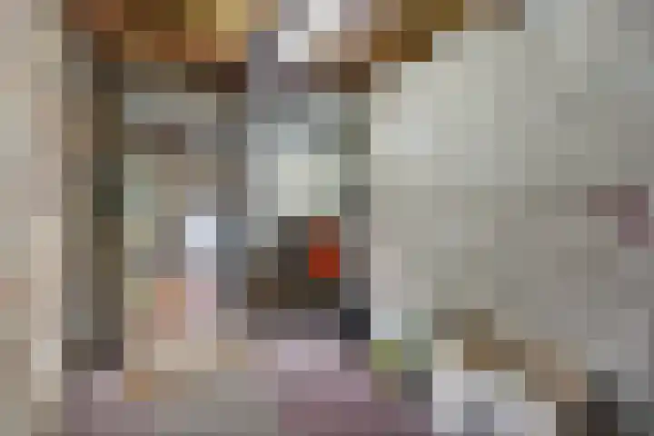 Ericastraat 1 Monster thumbnail 31