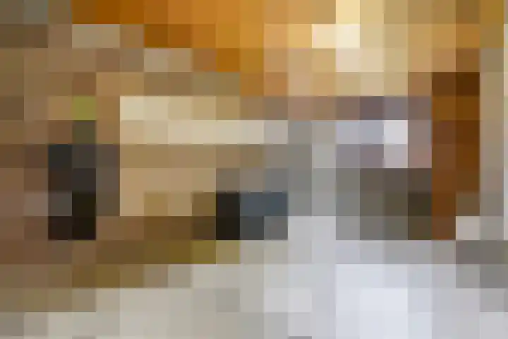 Ericastraat 1 Monster thumbnail 34