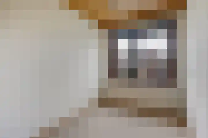 Ericastraat 1 Monster thumbnail 38