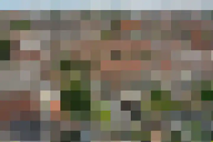 Ericastraat 1 Monster thumbnail 4