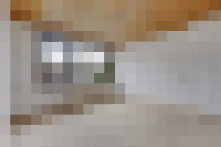 Ericastraat 1 Monster thumbnail 40