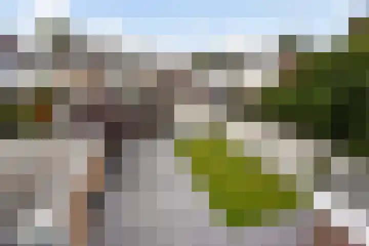 Ericastraat 1 Monster thumbnail 43