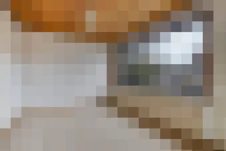Ericastraat 1 Monster thumbnail 44