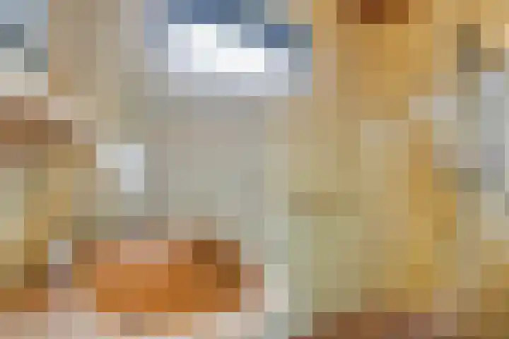 Ericastraat 1 Monster thumbnail 47