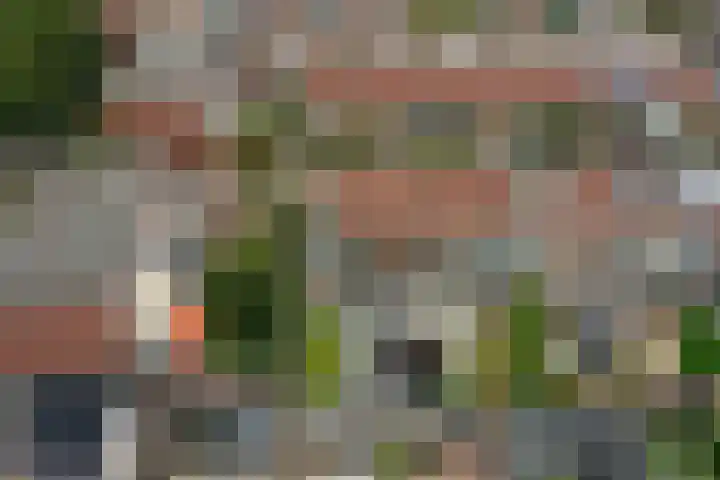Ericastraat 1 Monster thumbnail 5
