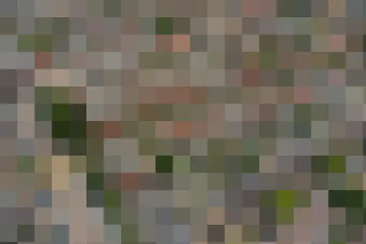 Ericastraat 1 Monster thumbnail 52