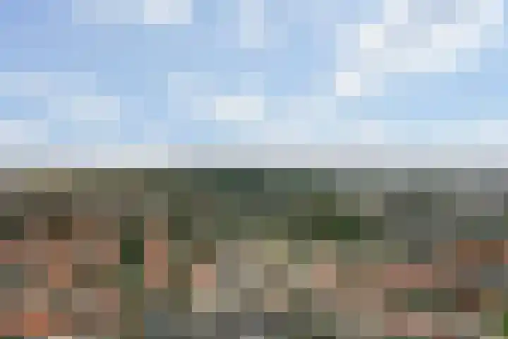 Ericastraat 1 Monster thumbnail 55