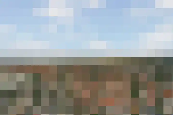 Ericastraat 1 Monster thumbnail 56