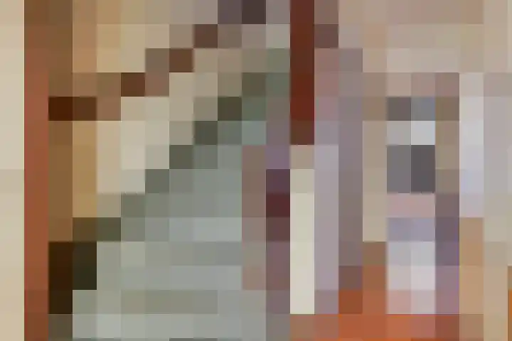 Ericastraat 1 Monster thumbnail 7