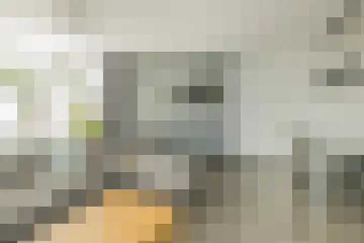 Ericastraat 1 Noordwijkerhout thumbnail 10