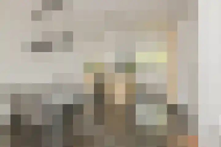 Ericastraat 1 Noordwijkerhout thumbnail 14