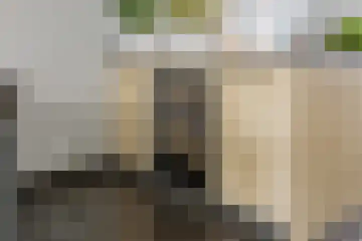 Ericastraat 1 Noordwijkerhout thumbnail 15