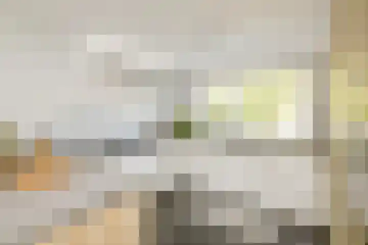Ericastraat 1 Noordwijkerhout thumbnail 17