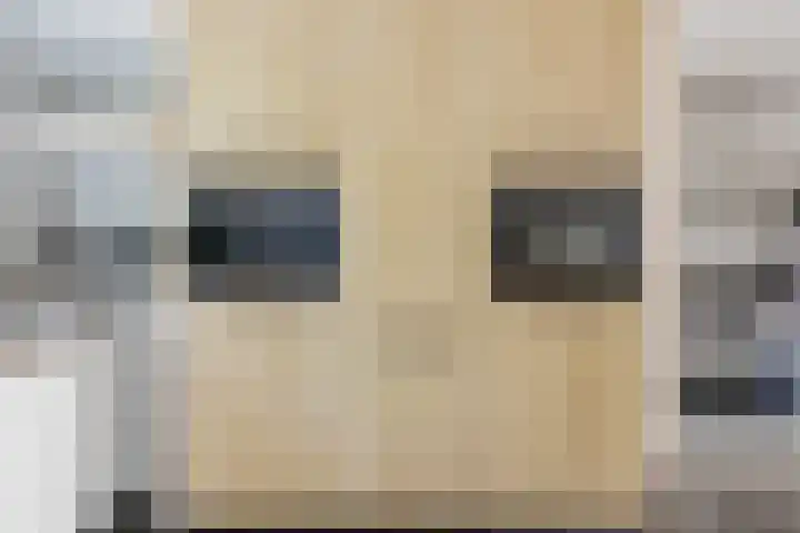 Ericastraat 1 Noordwijkerhout thumbnail 20
